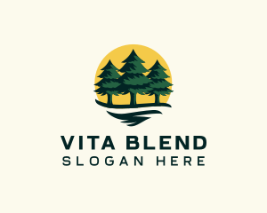 Pine Tree Forest logo design