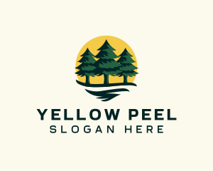 Pine Tree Forest logo design