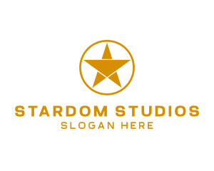 Professional Star Entertainment  logo