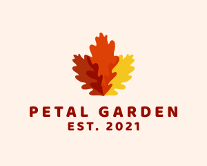 Autumn Fall Leaves logo design