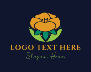 Beautiful Petal Flower logo