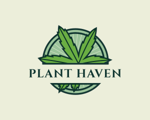 Marijuana Cannabis Plant logo design