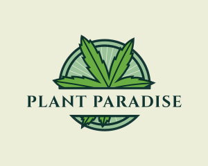 Marijuana Cannabis Plant logo design