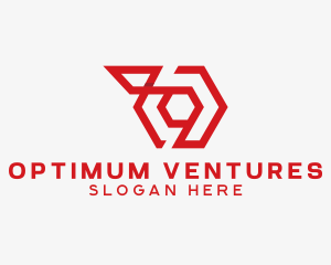 Red Geometric Software  logo design