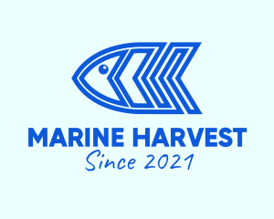 Blue Fish Marine  logo design