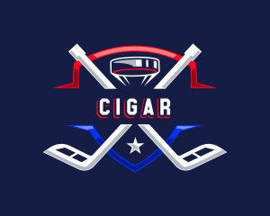 Hockey Puck Sports Logo