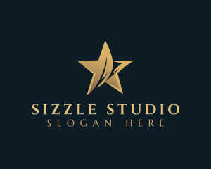 Star Studio Entertainment logo design