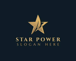 Star Studio Entertainment logo design