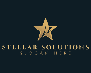 Star Studio Entertainment logo design