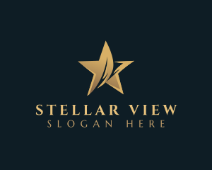 Star Studio Entertainment logo design