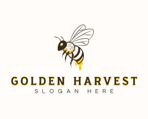 Bee Honey Drip logo design