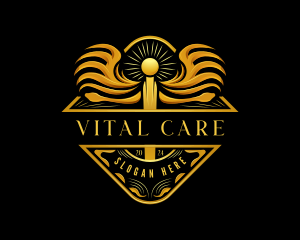 Premium Medical Caduceus logo