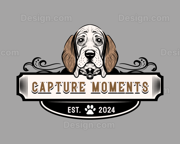 Dog Hound Pet Logo