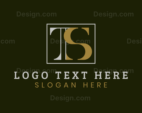 Modern Elegant Company Letter TS Logo