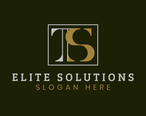 Modern Elegant Company Letter TS logo