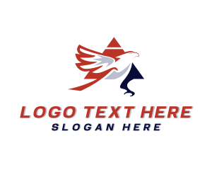 Freedom - Eagle Triangle Aviation logo design