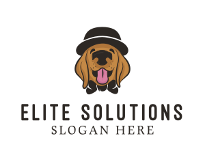 Pet Dog Hat Grooming logo design