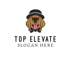 Pet Dog Hat Grooming logo design