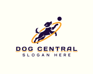 Dog Training Ball logo design