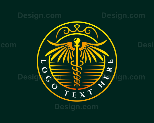 Medical Healthcare Caduceus Logo