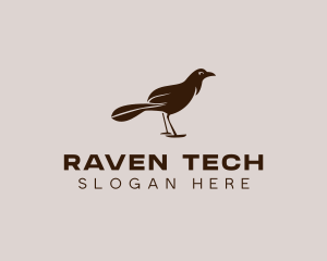 Animal Bird Aviary logo design