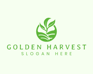 Agriculture Harvest Plant logo design