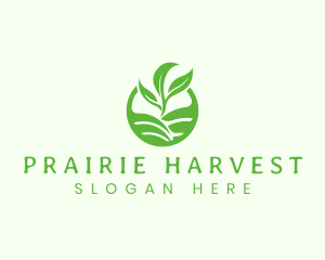 Agriculture Harvest Plant logo design