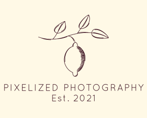 Lemon Fruit Tree Branch logo design