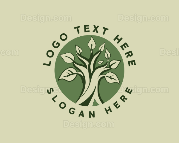 Botanical Tree Forest Logo