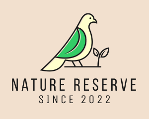 Eco Friendly Pigeon Bird  logo design