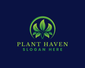 Plant Agriculture Leaf logo design