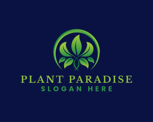 Plant Agriculture Leaf logo design