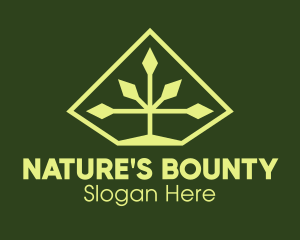 Nature Diamond Plant logo design