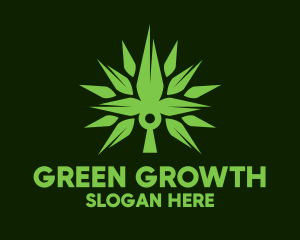 Spikey Cannabis Plant logo design