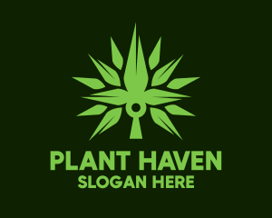 Spikey Cannabis Plant logo design