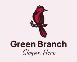 Tree Branch Cardinal logo design