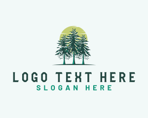 Pine Tree Forest Outdoor logo