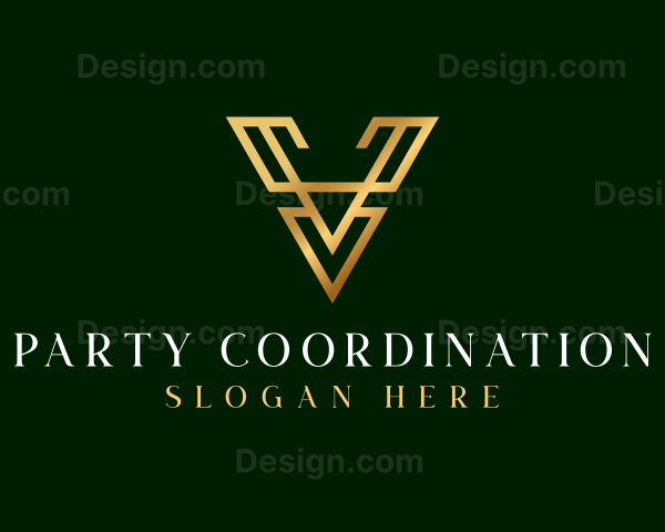 Luxury Accounting Letter V Logo