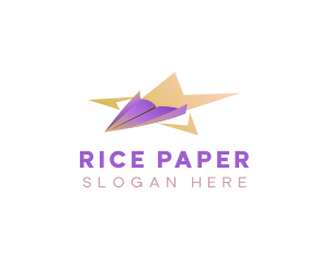 Paper Plane Star logo design