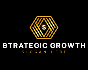 Professional Luxury Business logo