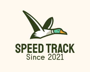 Wild Flying Duck logo