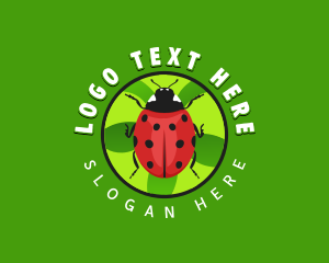 Lady Bug Insect logo