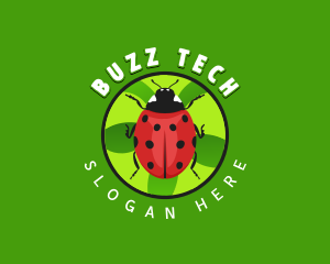 Lady Bug Insect logo