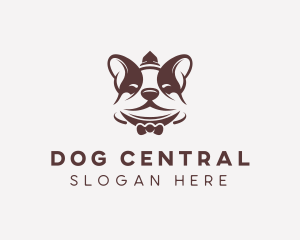 Boston Terrier Dog logo design