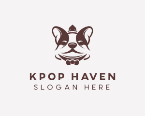 Boston Terrier Dog logo design