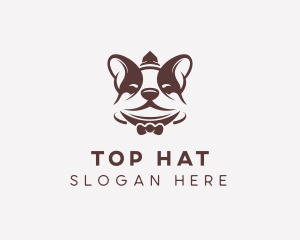 Boston Terrier Dog logo design