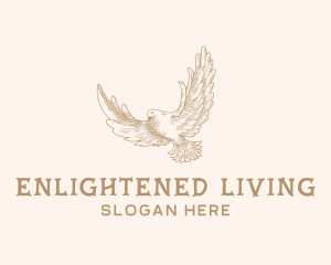 Dove Spiritual Wings  logo