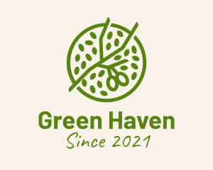 Green Botanical Oil  logo design