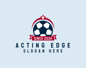 Soccer Ball Banner logo design