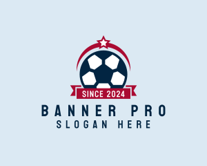 Soccer Ball Banner logo